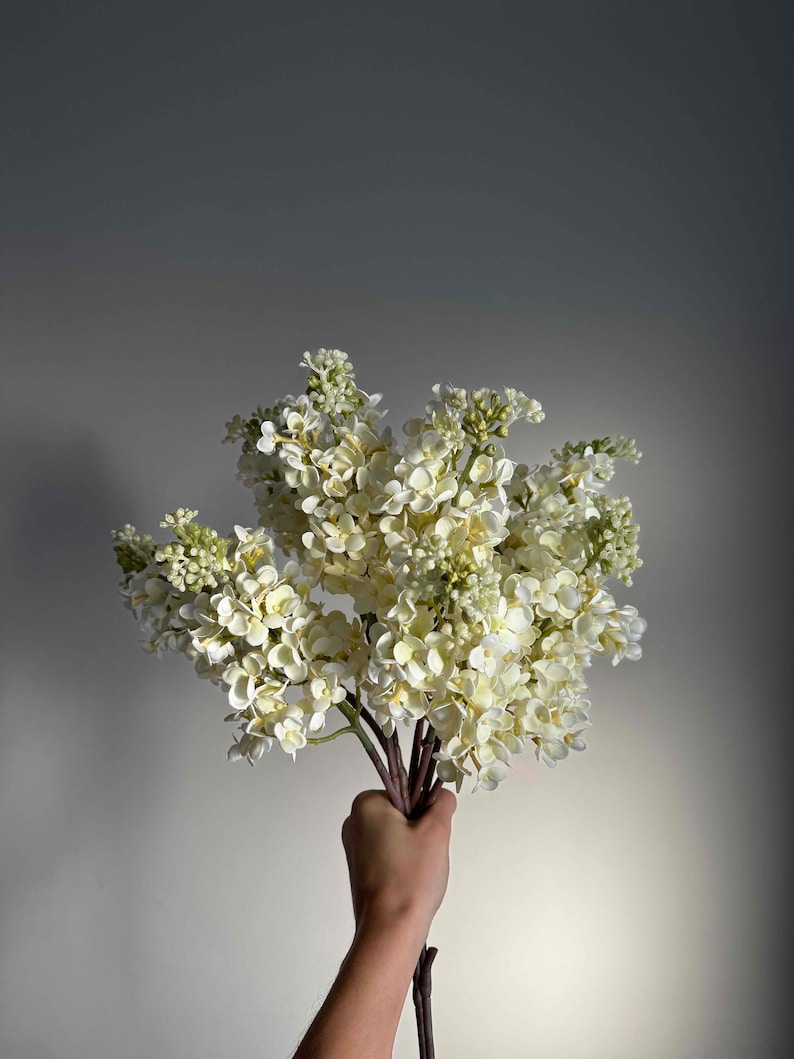 May include: A bouquet of white lilac flowers held in a hand. The flowers are in full bloom and have a delicate, sweet fragrance.