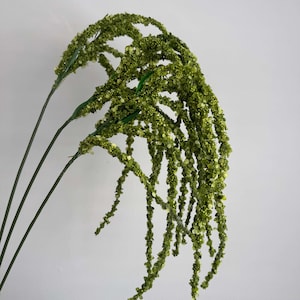 May include: Artificial green floral stems with cascading, textured, beaded accents. The stems are a dark green, and the beaded accents are a lighter shade of green. The overall effect is a natural, yet stylized, decorative element.