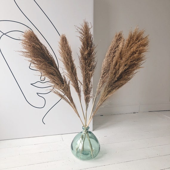 Fluffy Natural Brown Pampas Grass for Home Decor, Tall Pampas, Reed Grass,  Plume, Wedding Decorations, UK, Feather Pampas, Home Decor 