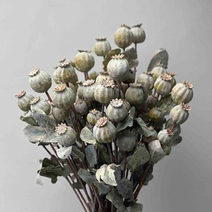 Artificial Poppy Head Stem, Poppy Bud, Faux Poppy, Dried Look Poppy, Artificial flowers, Foliage