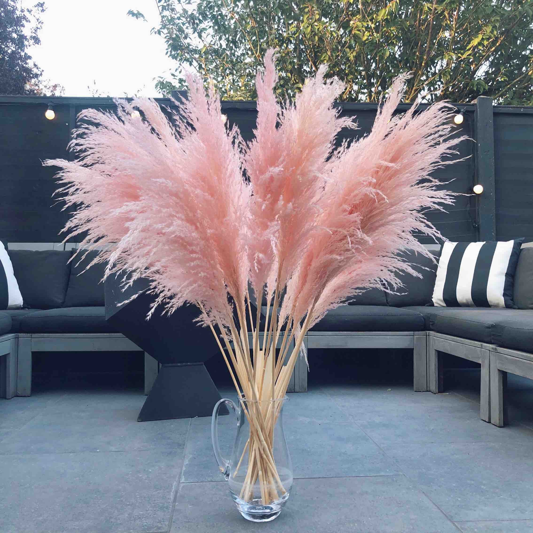 YINKUU Pampas Grass Pink 17.7 Inch-Dried Pampas Grass Decor 17 Inch Blush Pink  Pampas Grass Bouquets, Pampas Grass Faux Pink Pompas Grass Decor, Wedding  Centerpieces Home Decor Christmas 