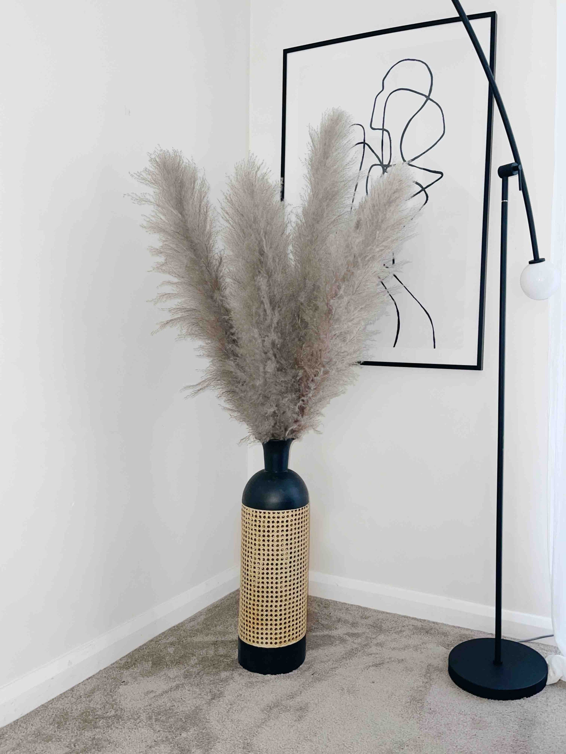 Fluffy Grey Pampas Grass Tall Pampas Natural Dried Pampas Etsy