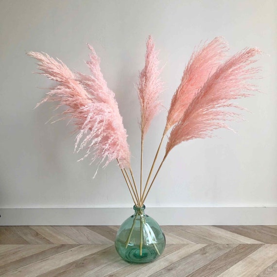 Fluffy Pink Pampas Grass for Home Decor, Tall Pampas, Reed Grass,  Decorazioni per matrimoni, Pink Dried Flowers, UK, Feather pampas, Pink  decor -  Italia