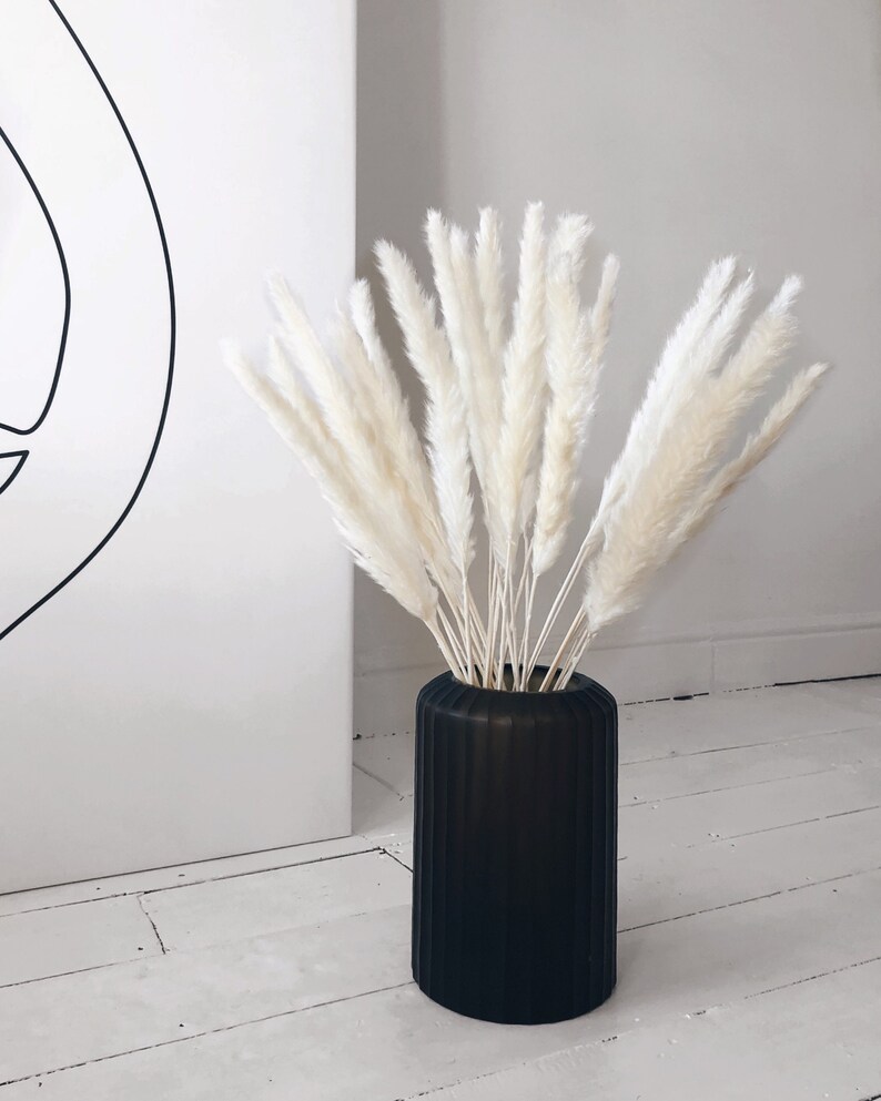 Pampas Grass for Home Decor 60cm Tall Pampas Reed Grass Etsy