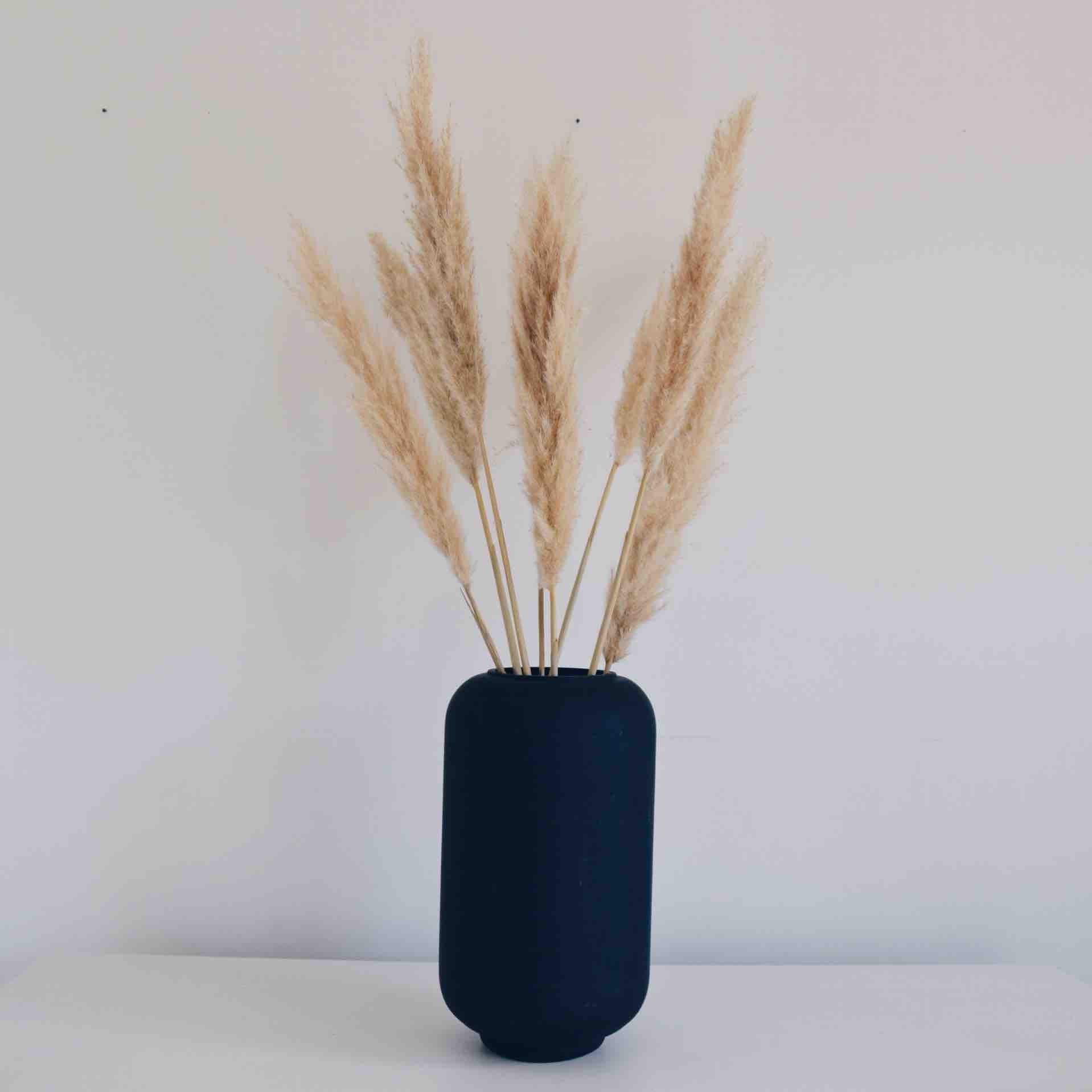 Traditional Pampas Grass Stems Dried Pampas Natural Cream Etsy Australia