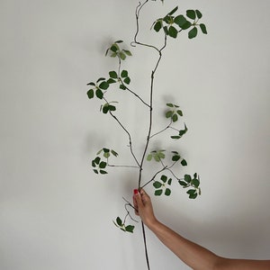 Artificial Branch With Leaves, Faux Branch, Willow Branch, Corylus Branch, Hazel Branch, Branch with Flowers, Faux Leaf image 2