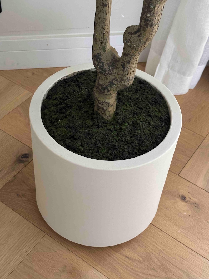 May include: A white ceramic planter with a thick, textured rim. The planter is filled with dark brown soil and has a green moss-like covering. A brown, gnarled tree trunk is visible in the center of the planter.