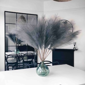 pampas