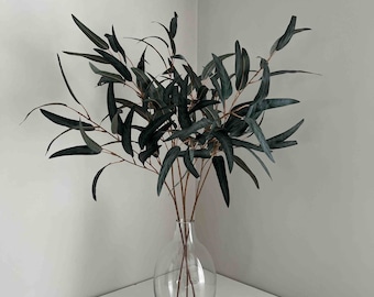 Könnte beinhalten: Eine klare Glasvase mit künstlichen Eukalyptuszweigen. Die Blätter sind dunkelgrün mit einem Blaustich, die Stiele hellbraun. Die Vase hat eine runde Form und einen schmalen Hals, platziert auf einer weißen Oberfläche.
