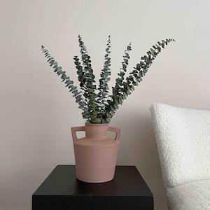Preserved Green eucalyptus, Baby Blue Eucalyptus, Vase Arrangement, Preserved Bouquet, Eucalyptus Stems, Home Decor, Vase Topper, UK