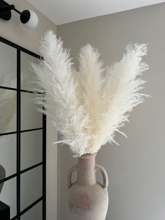Flauschiges leichtes Pampasgras für Wohnkultur, Flauschiges Pampas, Vasenarrangement, Trockenblumen, Kiss My Pampas, Weiße Pampas, Lange Pampas