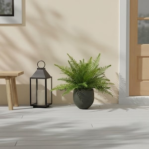 May include: A decorative outdoor scene featuring a black metal lantern with a lit candle, a small wooden bench, and a potted fern. The fern is in a dark gray pot. The background is a light beige wall and a wooden door.