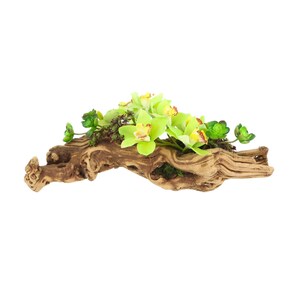May include: A decorative floral arrangement featuring light green orchids and small succulents atop a piece of driftwood. The orchids have yellow and red accents. The driftwood is a light brown color.