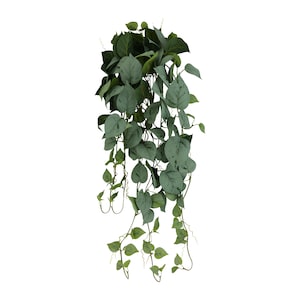 36" Trail Frosted Green Ivy Stem | For Bridal Shower and Wedding Decor