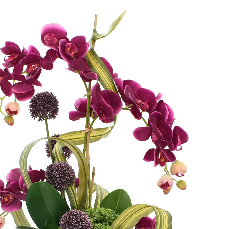 Fuchsia Orchid Plant with Accents in Marble Vase