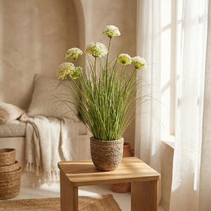 May include: A decorative plant arrangement featuring tall green grass and spherical, light green flower heads. The plant is potted in a woven, brown basket and sits on a light brown wooden table. The scene is illuminated by natural light from a nearby window.