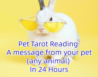Könnte beinhalten: Ein weißes Kaninchen mit gelben Sonnenbrillen vor einem gelben Hintergrund. Der Text "Pet Tarot Reading A message from your pet (any animal) In 24 Hours" befindet sich unter dem Kaninchen.