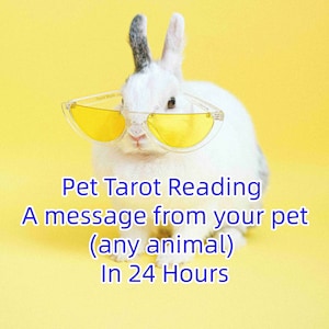 Pet Psychic Reading, Pet Tarot Reading, Pet Oracle Reading, Animal Communication, Animal Communicator, Animal Psychic