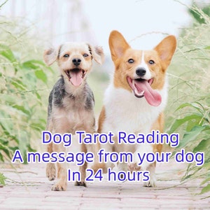 Psychische hond lezen, hond tarotkaart lezen, hond orakelkaart lezen, hond psychisch lezen, hond tarot lezen, dier psychisch lezen