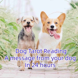 Psychic Dog Reading, Dog Tarot Card Reading, Dog Oracle Card Reading, Dog Psychic Reading, Dog Tarot Reading, Animal Psychic Reading