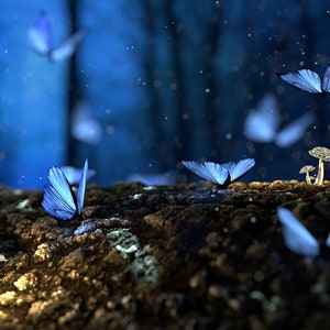 May include: A whimsical scene with blue butterflies fluttering around glowing mushrooms in a dark forest setting.