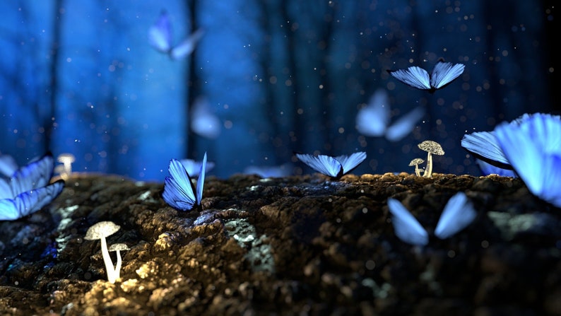May include: A whimsical scene with blue butterflies fluttering around glowing mushrooms in a dark forest setting.