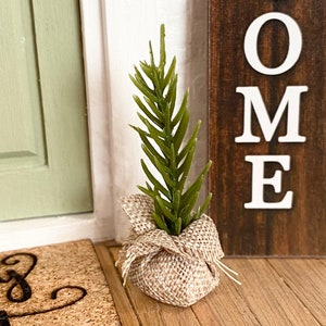 Sapin de table de Noël miniature en pin à feuilles persistantes pour maison de poupée