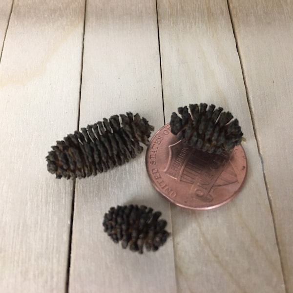 Dollhouse Miniature “Pine” Cones, Alder Cones