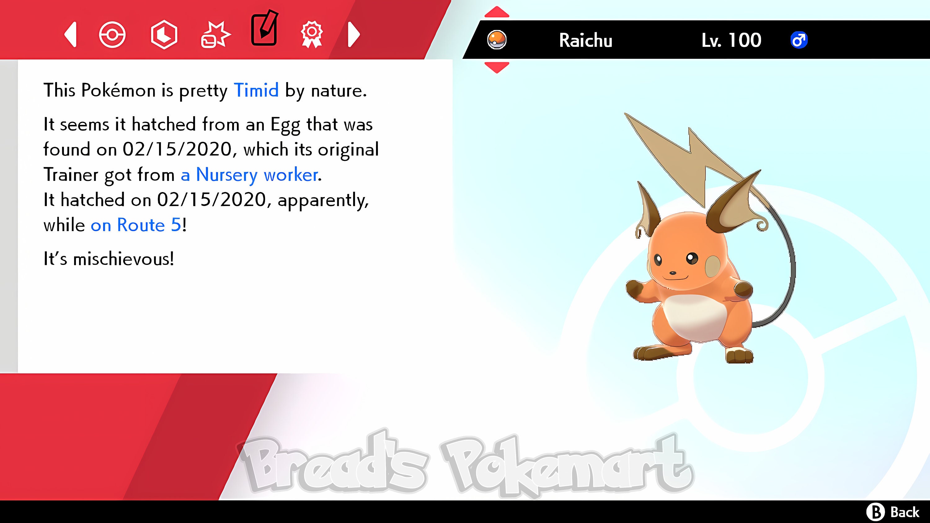 Shiny Raichu (ash hat) 