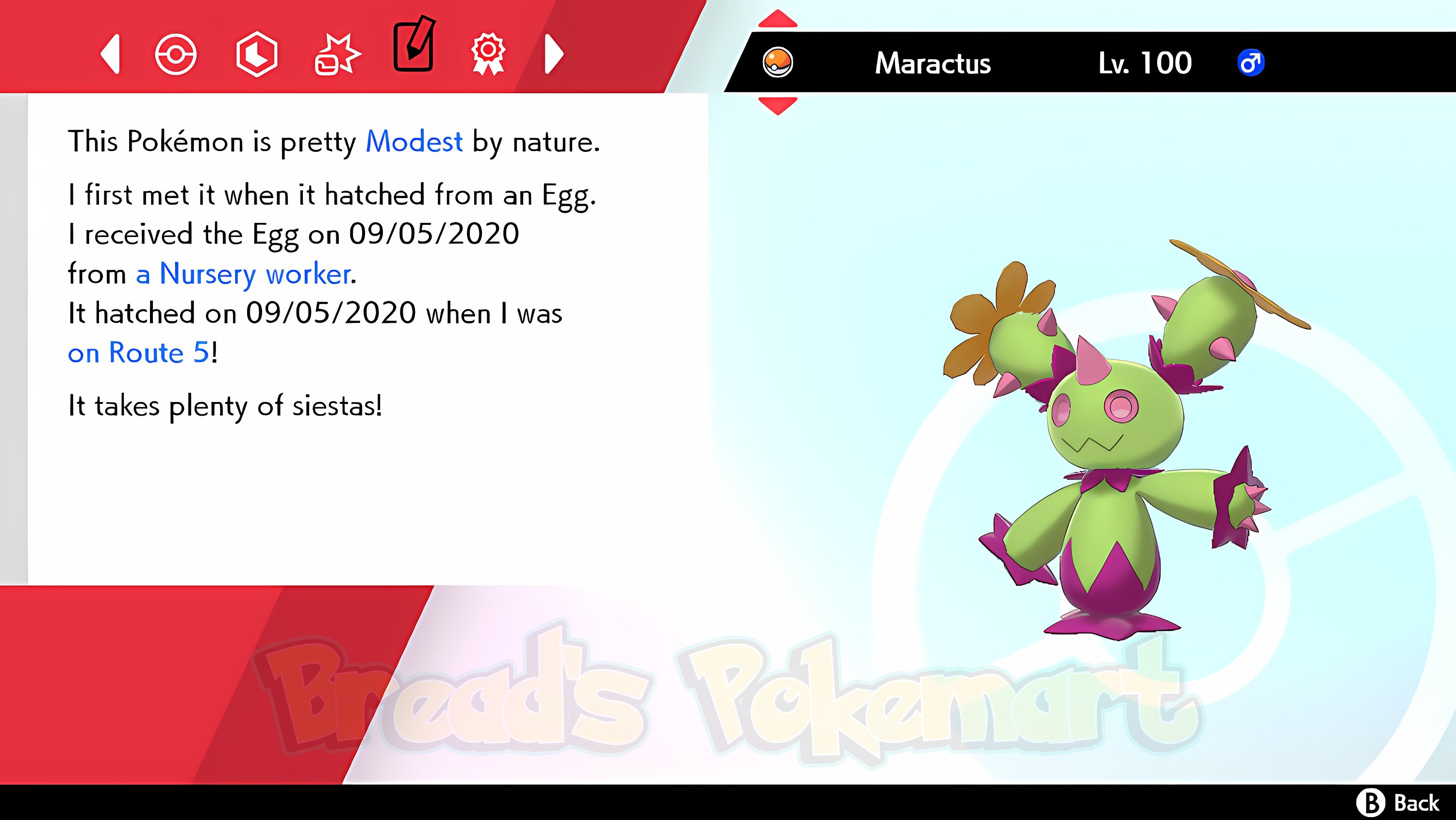 🎮 Comprar Mewtwo ✨Shiny ▫ Life Orb ▫ 6IVs ▫ Level 100 (Pokémon Sword &  Shield) ▸ LOJA HEY!PIKACHU