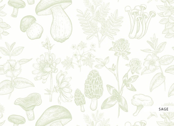 Sage Mushroom Garden Wallpaper Removable Peel and Stick Sage Mushroom Garden Wallpaper Removable Peel and Stick