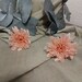see more listings in the Dried flowers section