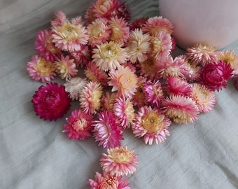 Fleurs de paille roses fleurs de décoration dispersées fleurs décoration de table