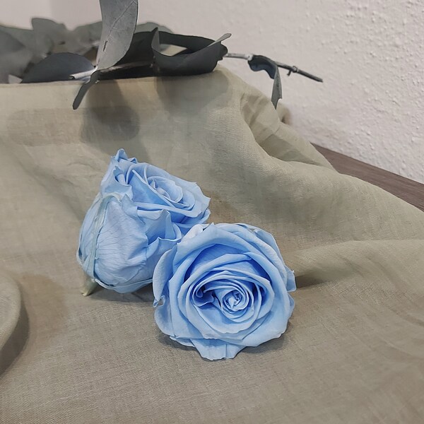 Infinity Rose Kopf Blau "Baby Blue" 6cm stabilisiert konserviert