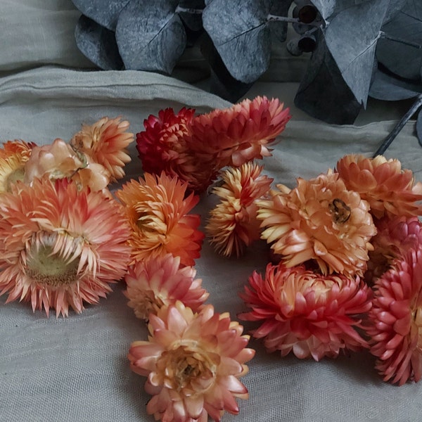 Strohblumenblüten Lachsrosa 30 oder 50 Stück Streudeko Blüten Tischdeko