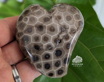 FREE-FORM Beautiful! Polished Petoskey Stone Heart Coral Pure Michigan Gift Lake Home Decor Cottage Display Rock Art H-6