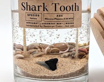 Shark Tooth Treasure Candle • Real Fossil Gift • Ocean Fossil Decor • Beach Lover Gift • Burn the Candle Keep the Treasure