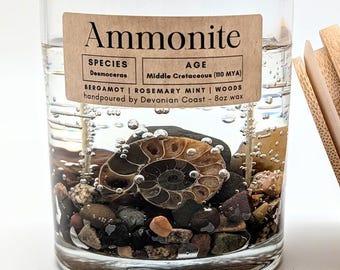 Ammonite Fossil Treasure Candle • Real Fossil Gift • Ancient Ocean Life • Natural History Decor • Burn Candle Keep Treasure