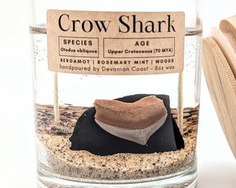 Crow Shark Tooth Fossil Treasure Candle • Real Fossil Gift • Prehistoric Shark • Natural History Decor • Burn Candle Keep Treasure