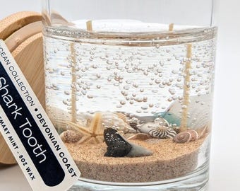 Shark Tooth Treasure Candle • Real Shark Tooth Gift • Beach Lover Decor • Coastal Gift • Burn Candle Keep Treasure