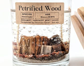 Petrified Wood Treasure Candle • Real Fossil Gift • Geology Gift • Rock Collector Decor • Burn the Candle Keep the Treasure
