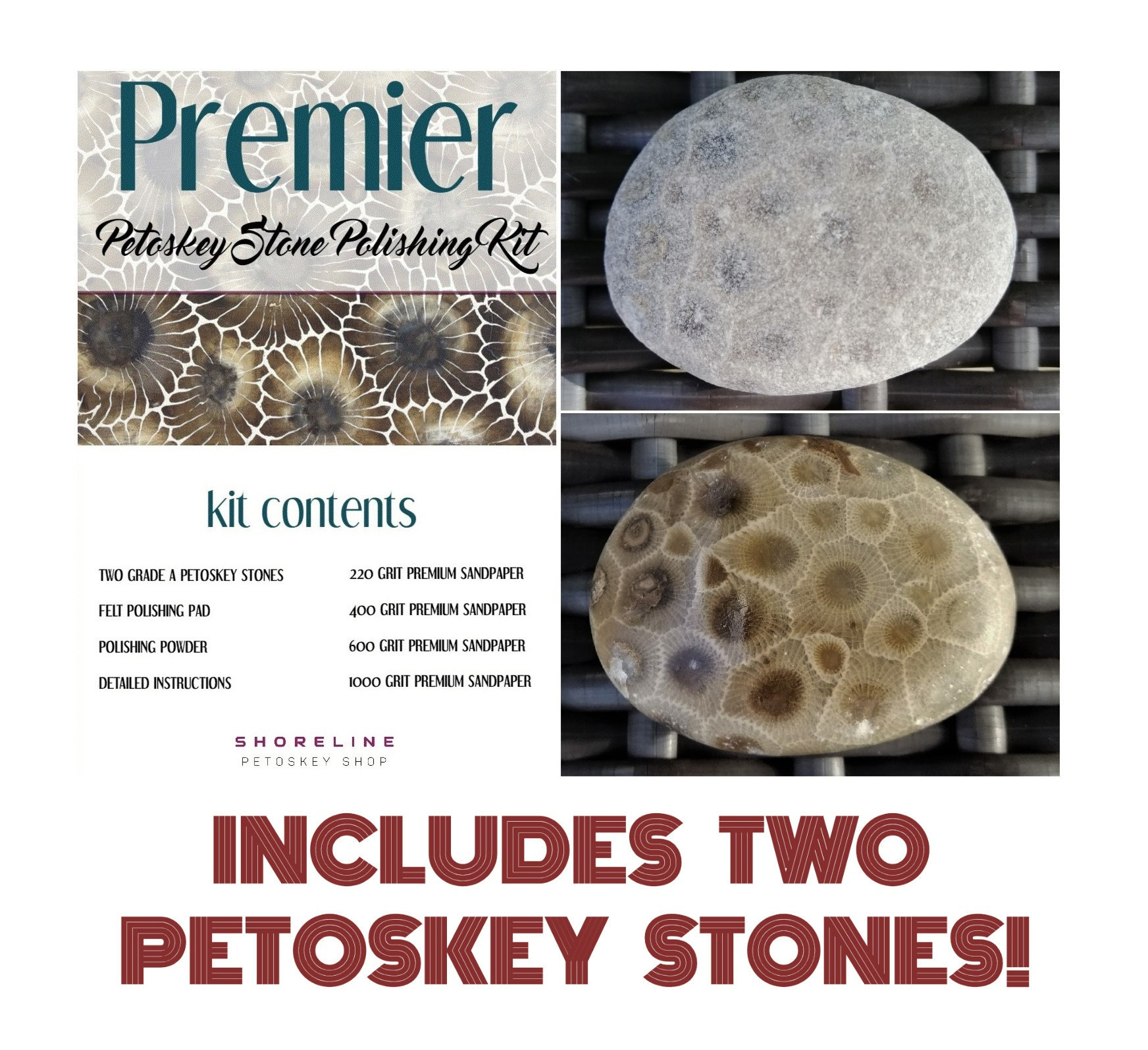 Premier Petoskey Stone Polishing Kit Includes TWO Grade A Etsy