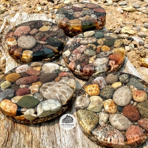 Premium Shoreline Petoskey Stone Coaster | Lake Michigan Art | Great Lakes Gift | Hexagonaria Coral Fossil | Up North Cottage Decor