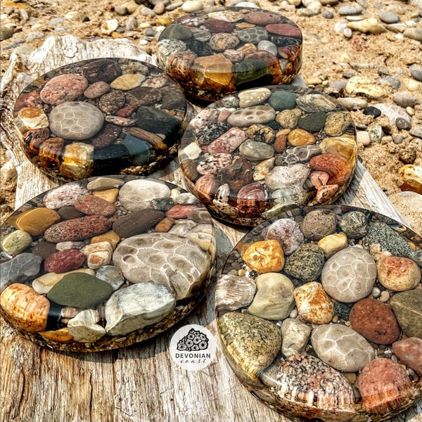 Montaña rusa de piedra Premium Shoreline Petoskey / Arte del lago Michigan / Regalo de los Grandes Lagos / Fósil de coral Hexagonaria / Decoración de Up North Cottage
