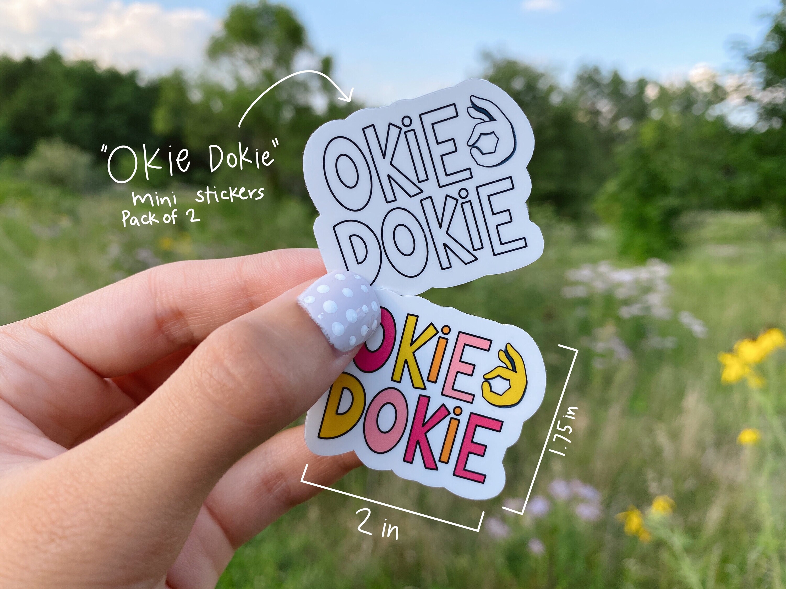 Okie Dokie set of 2 mini waterproof vinyl stickers Etsy