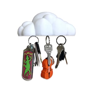 May include: White cloud-shaped magnetic key holder with a variety of keys hanging from it, including a key with a Florida souvenir keychain featuring a green lizard, a key with a violin-shaped keychain, and a key with a black and silver keychain.