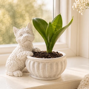 May include: A white ceramic planter featuring a sculpted dog figure resting its front paws on the rim. The round, fluted pot contains a small green snake plant with dark soil. The planter has a textured, matte finish and sits on a flat surface.