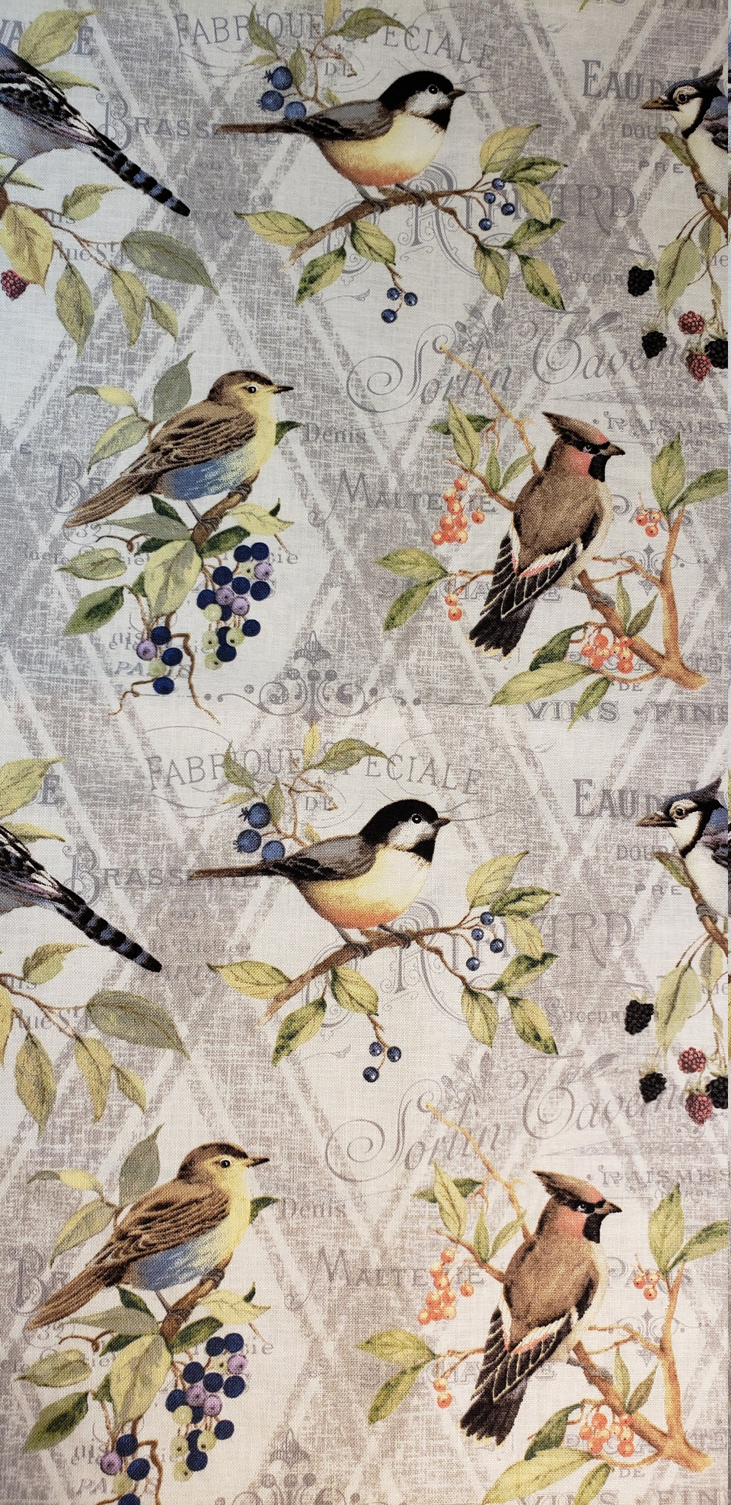 Premium Prints Cotton Fabric Susan Winget Bird Diamond Gray Etsy