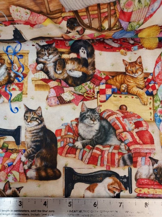 Curious top cat clothing