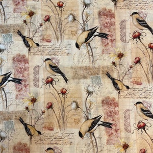 Susan Winget Goldfinch Thistle patch  100% cotton for clothing ,crafts and quilting ,B.T.Y,.3/4,1/2,1/4,fat quarter